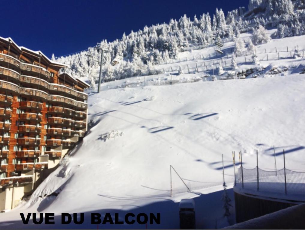 STUDIO CABINE COSY TRES CALME RESIDENCE ALPAGES 2 AU PIED DES PISTES appartement pied des pistes 12