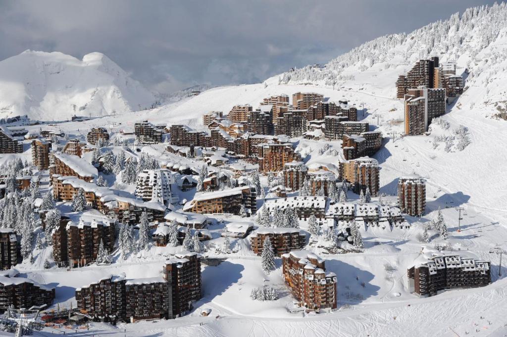 STUDIO CABINE COSY TRES CALME RESIDENCE ALPAGES 2 AU PIED DES PISTES appartement pied des pistes 14