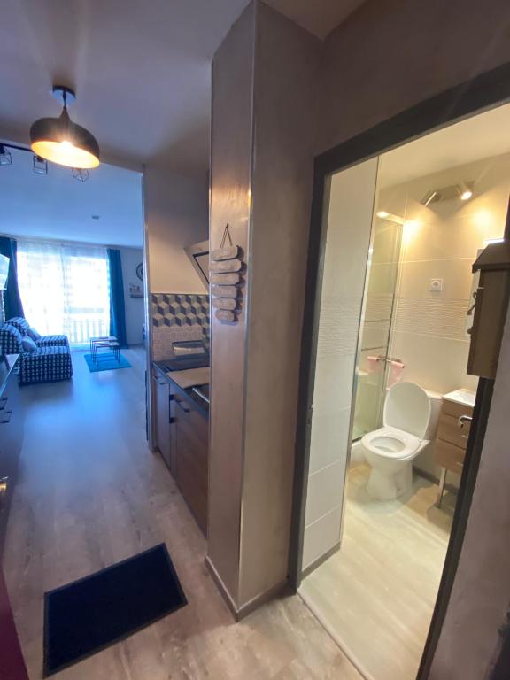 STUDIO COCOONING SUPERDEVOLUY PIED DES PISTES appartement pied des pistes 2