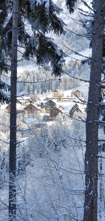 SUNWEB Timberlodge hotel pied des pistes 8