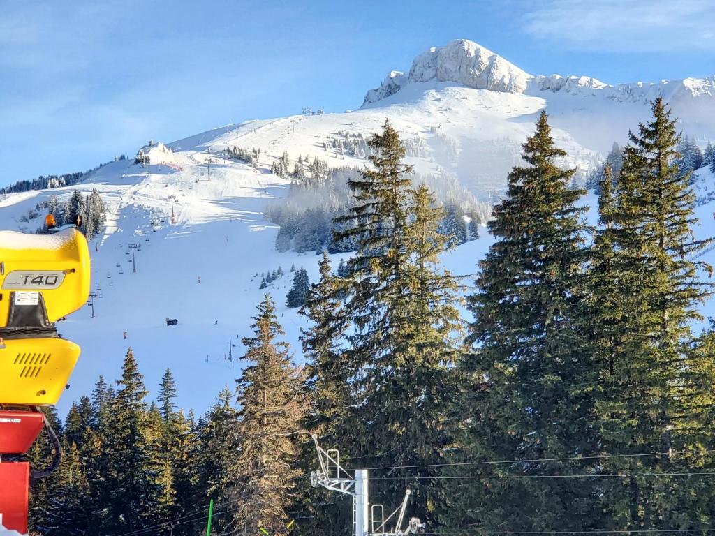 SUPERBE APPARTEMENT T2 3 ETOILES 40m2 PIED DES PISTES VUE SUR LE LAC appartement pied des pistes 11