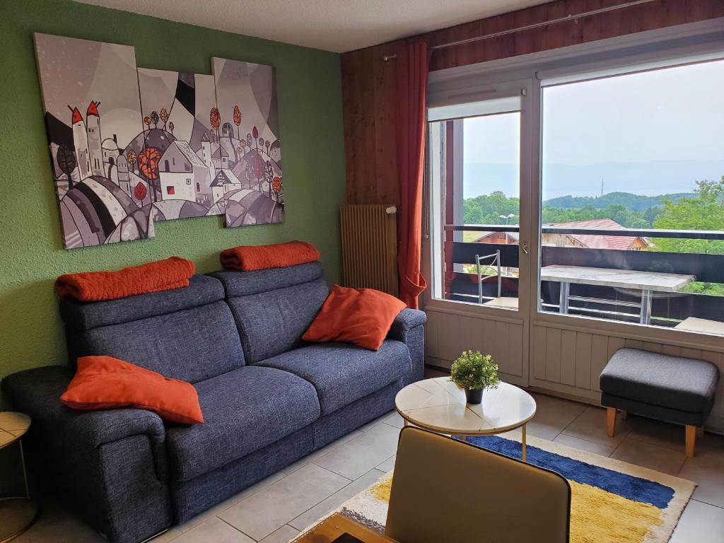 SUPERBE APPARTEMENT T2 3 ETOILES 40m2 PIED DES PISTES VUE SUR LE LAC appartement pied des pistes 12