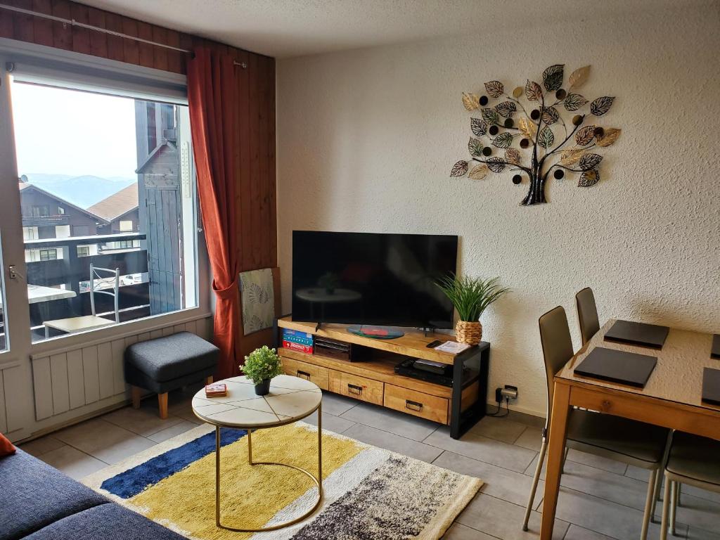 SUPERBE APPARTEMENT T2 3 ETOILES 40m2 PIED DES PISTES VUE SUR LE LAC appartement pied des pistes 4