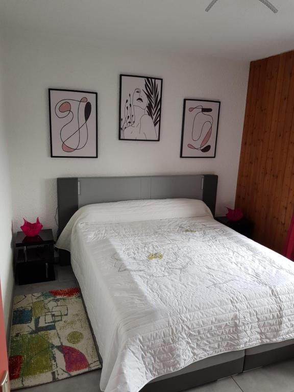 SUPERBE APPARTEMENT T2 3 ETOILES 40m2 PIED DES PISTES VUE SUR LE LAC appartement pied des pistes 6
