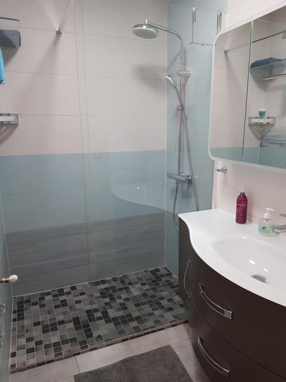 SUPERBE APPARTEMENT T2 3 ETOILES 40m2 PIED DES PISTES VUE SUR LE LAC appartement pied des pistes 7