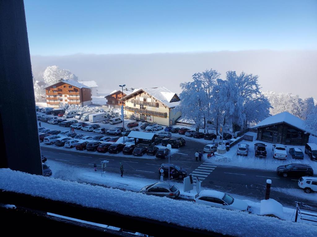SUPERBE APPARTEMENT T2 3 ETOILES 40m2 PIED DES PISTES VUE SUR LE LAC appartement pied des pistes 9