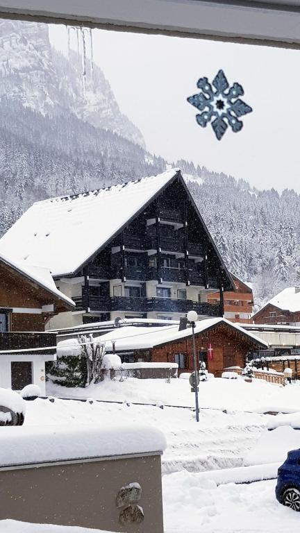 SUPERBE APPARTEMENT T2 3 ETOILES 40m2 PIED DES PISTES VUE SUR LE LAC appartement pied des pistes