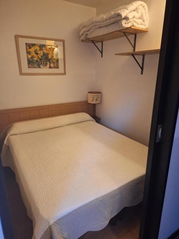 Saint Sorlin DArves 4 6 personnes pied des pistes 310km de pistes tous niveaux appartement pied des pistes 1