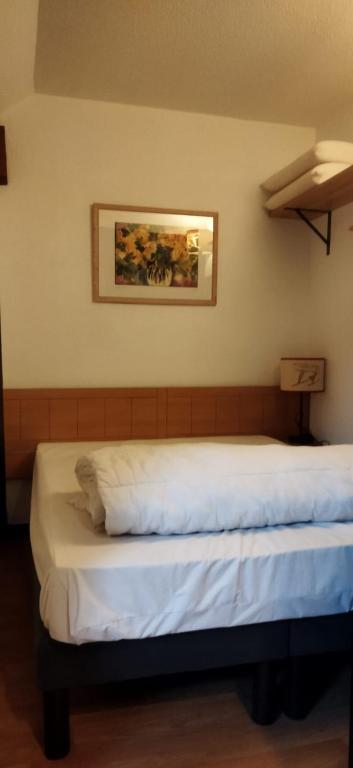 Saint Sorlin DArves 4 6 personnes pied des pistes 310km de pistes tous niveaux appartement pied des pistes 18