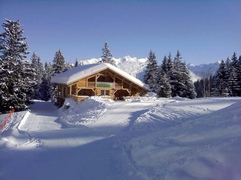 Samoens 1600 les cimes appartement pied des pistes 5
