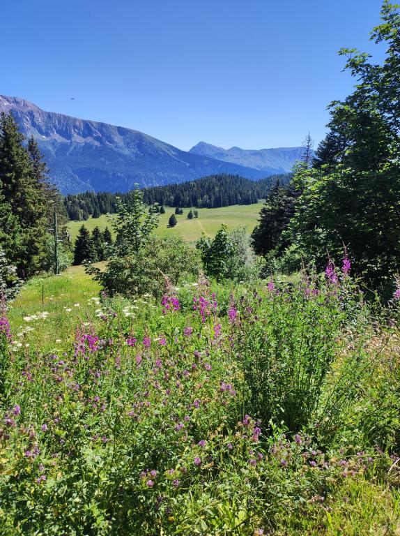 Silenes C11 Chamrousse 1700 Les Villages du Bachat appartement pied des pistes 10