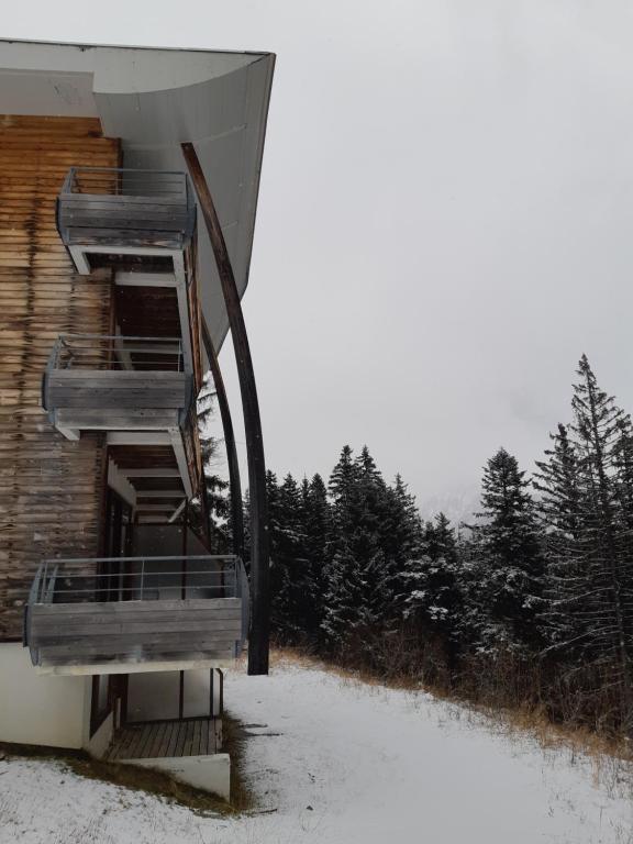 Silenes C11 Chamrousse 1700 Les Villages du Bachat appartement pied des pistes 11