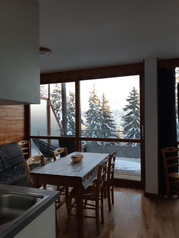 Silenes C11 Chamrousse 1700 Les Villages du Bachat appartement pied des pistes 3