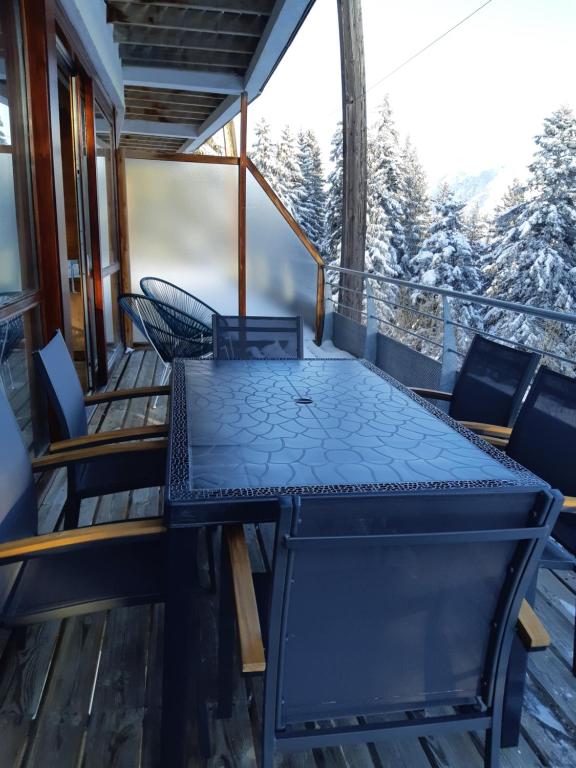 Silenes C11 Chamrousse 1700 Les Villages du Bachat appartement pied des pistes 9