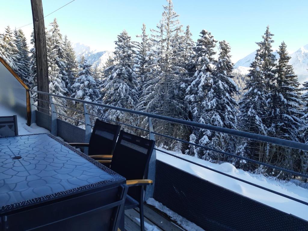 Silenes C11 Chamrousse 1700 Les Villages du Bachat appartement pied des pistes
