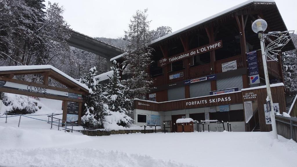 Ski 3 Vallees a 80m telecabine de lOlympe appt 50m2 3etoiles appartement pied des pistes 16