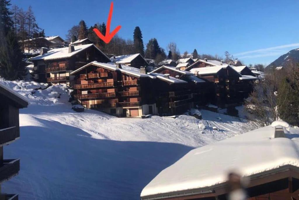 Ski inski out pool great for summer and winter appartement pied des pistes 8