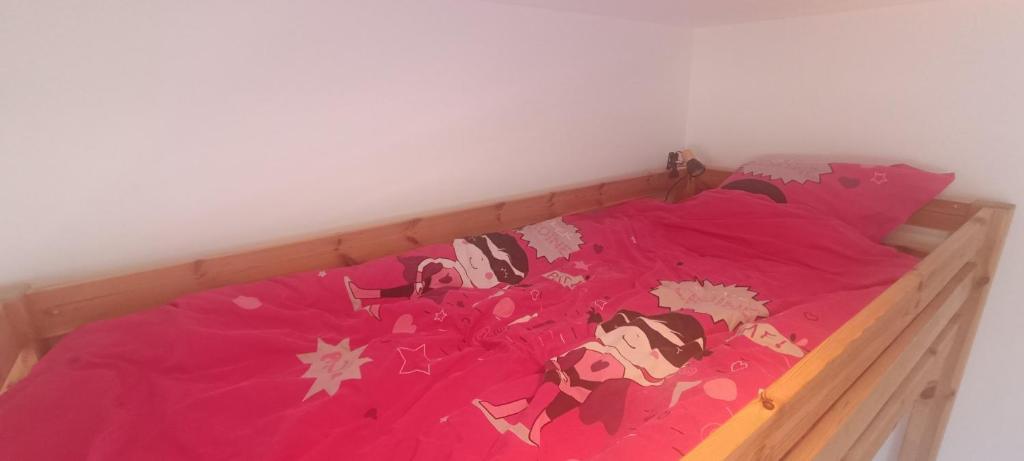 Spacieux appartement au pied des pistes gite pied des pistes 4