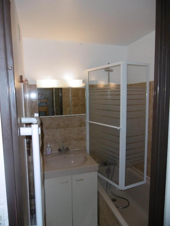 Studio 45 personnes 2 etoiles appartement pied des pistes 2