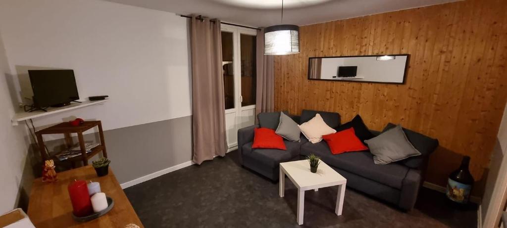 Studio 57 appartement pied des pistes 4