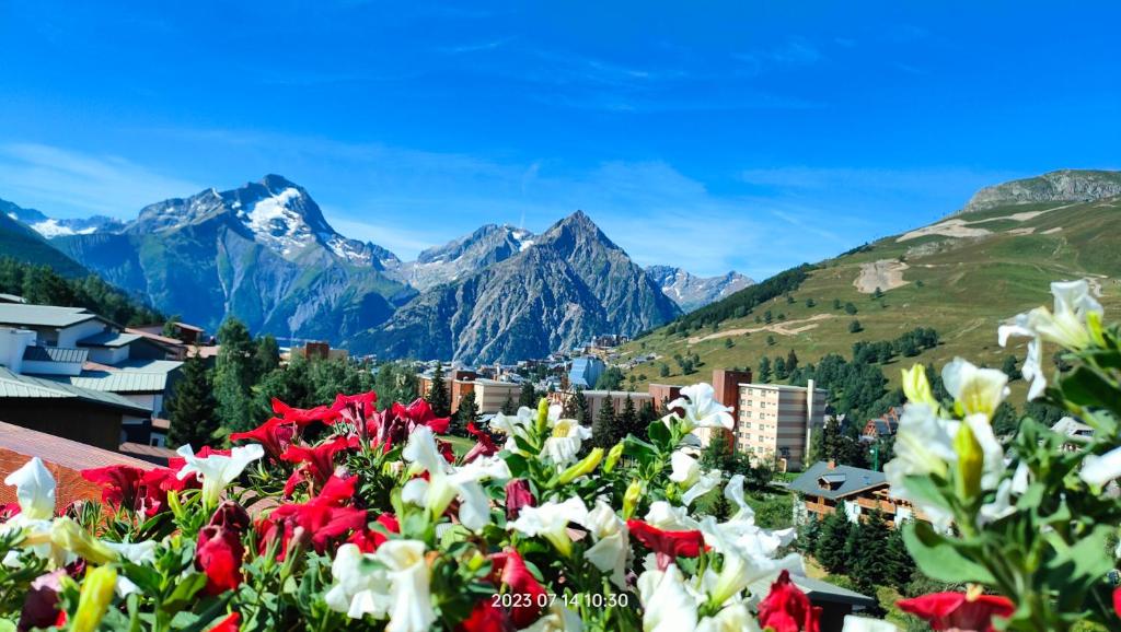 Studio Cabine 4 pers Les2Alpes 21m² appartement pied des pistes 10