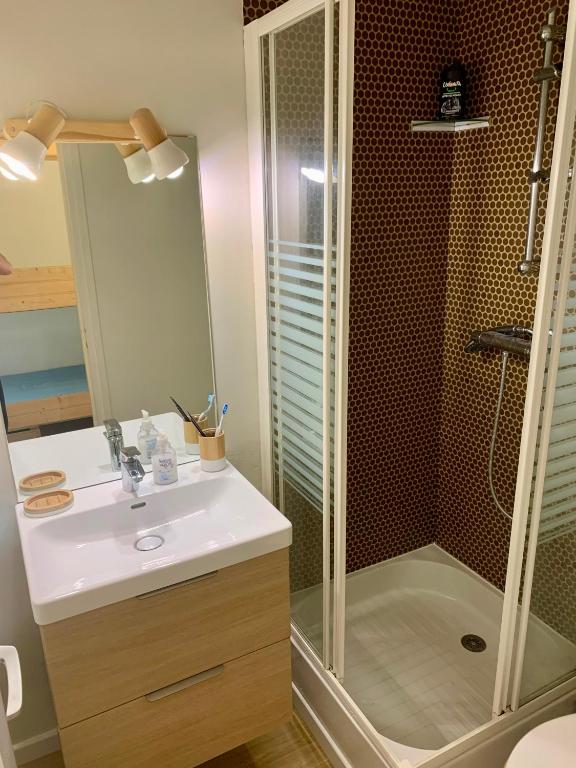 Studio Cabine Chaleureux 4 Personnes Pied des Pistes Pyrenees 2000 appartement pied des pistes 2