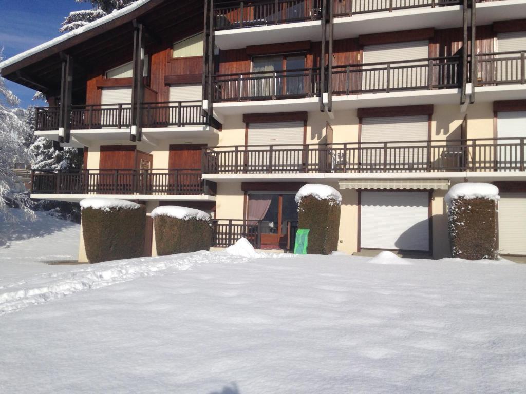 Studio Clos des Meurets appartement pied des pistes 12