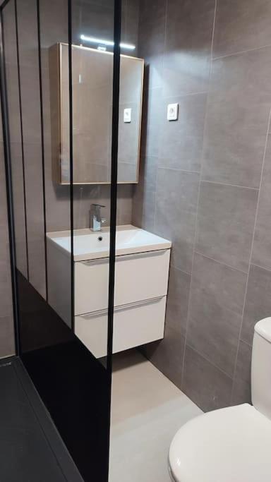 Studio Cosy 2100m pied des pistes Direct to SKI slopes SKI in SKI out LA PLAGNE AIME 2000 appartement pied des pistes 5
