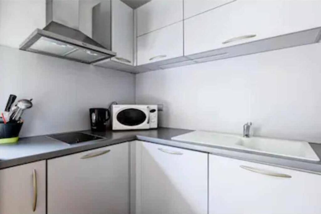 Studio Grand Chalet hyper centre appartement pied des pistes 4