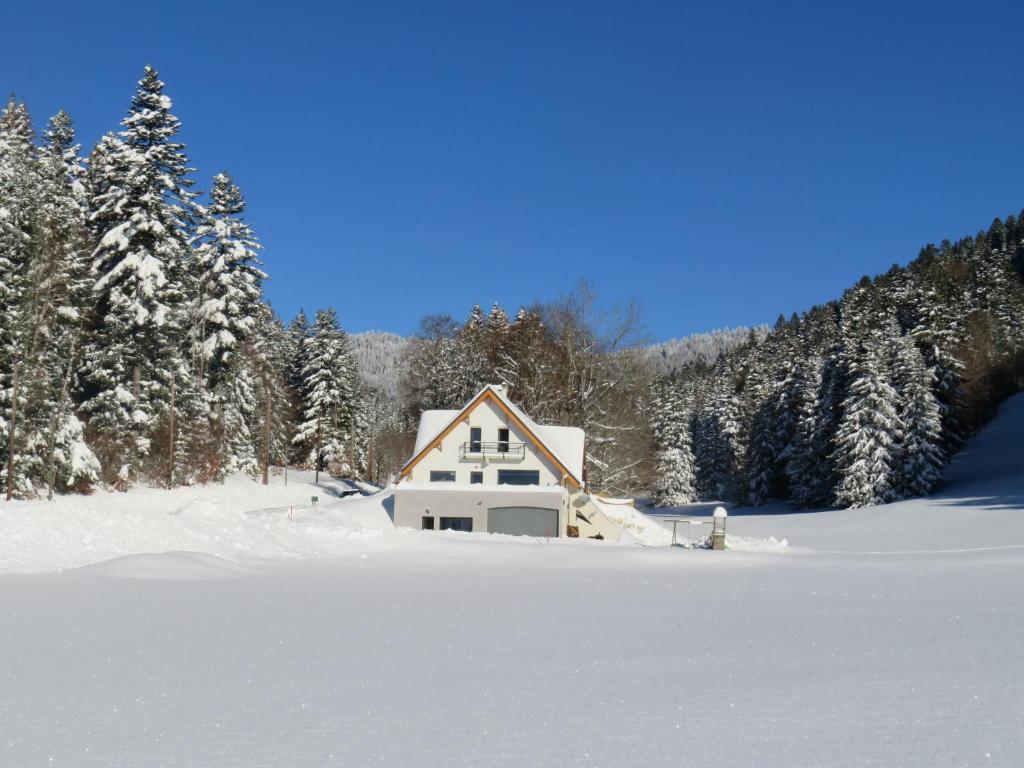 Studio La Resilience au pied des pistes a Autrans gite pied des pistes 10