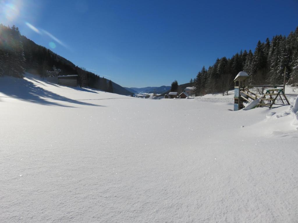 Studio La Resilience au pied des pistes a Autrans gite pied des pistes 4