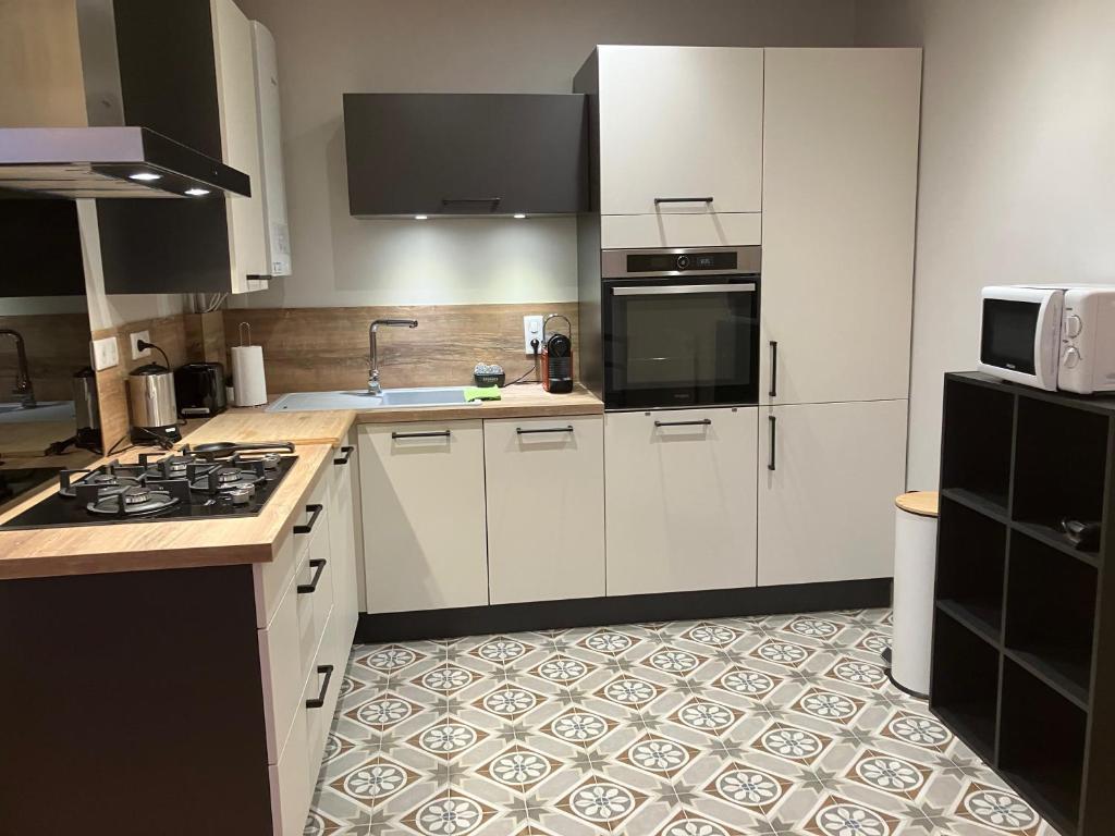 Studio Quartier Chateau Wifi Garage individuel a cle Electromenager complet appartement pied des pistes 7