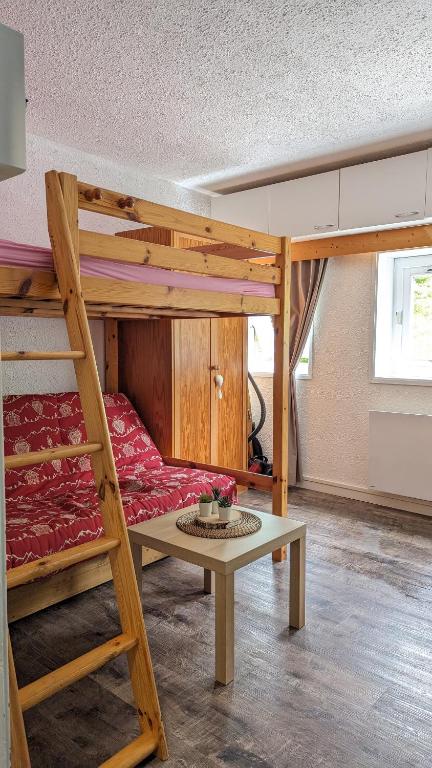 Studio avec linge de maison fourni et tout equipe aux pieds des pistes appartement pied des pistes 1