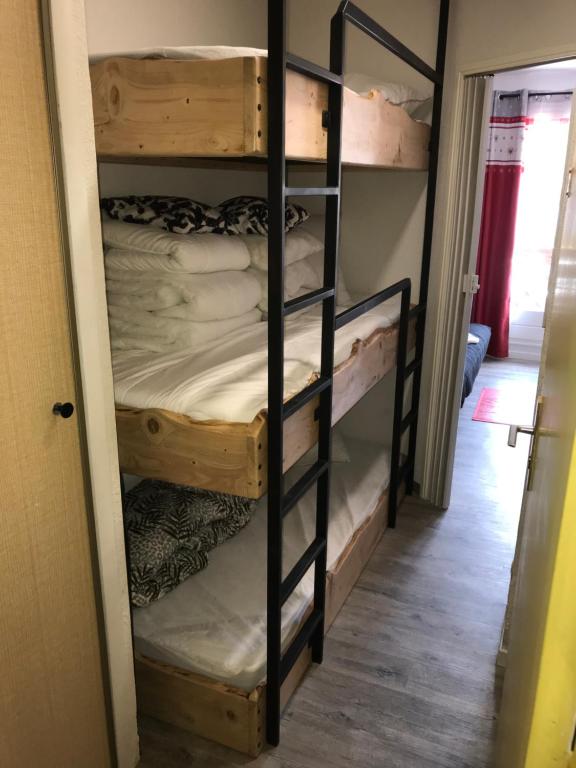 Studio chaleureux a la Foux DAllos appartement pied des pistes 1