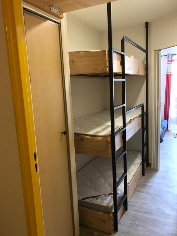 Studio chaleureux a la Foux DAllos appartement pied des pistes 10