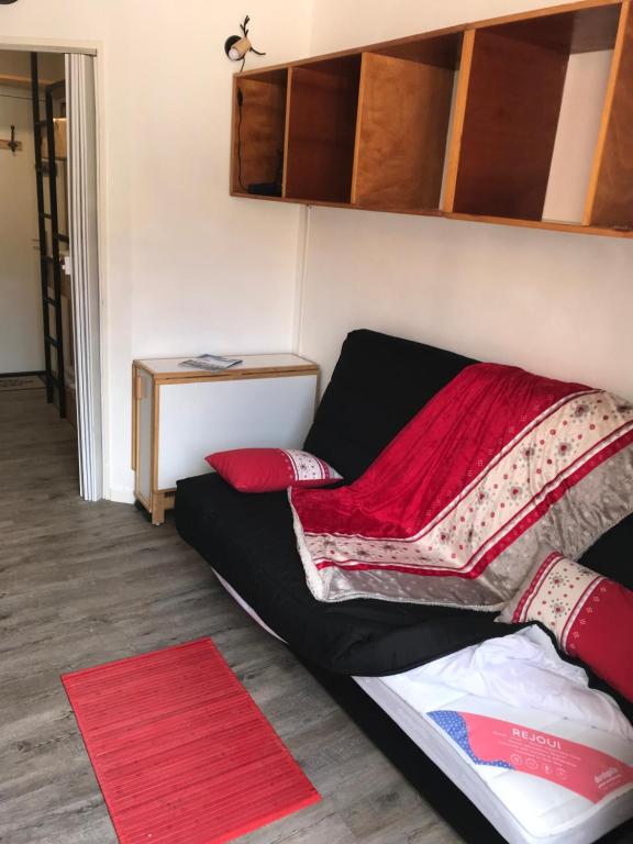 Studio chaleureux a la Foux DAllos appartement pied des pistes 6