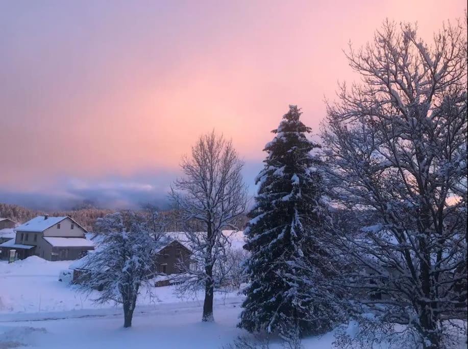 Studio chaleureux au depart des sentiers et pistes de ski appartement pied des pistes 10