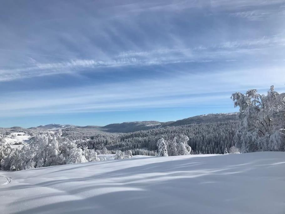 Studio chaleureux au depart des sentiers et pistes de ski appartement pied des pistes 11