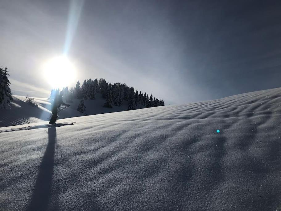 Studio chaleureux au depart des sentiers et pistes de ski appartement pied des pistes 17