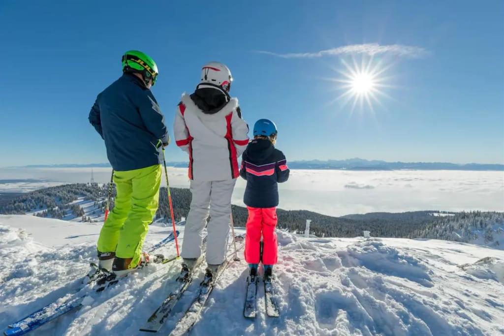 Studio chaleureux au depart des sentiers et pistes de ski appartement pied des pistes 18