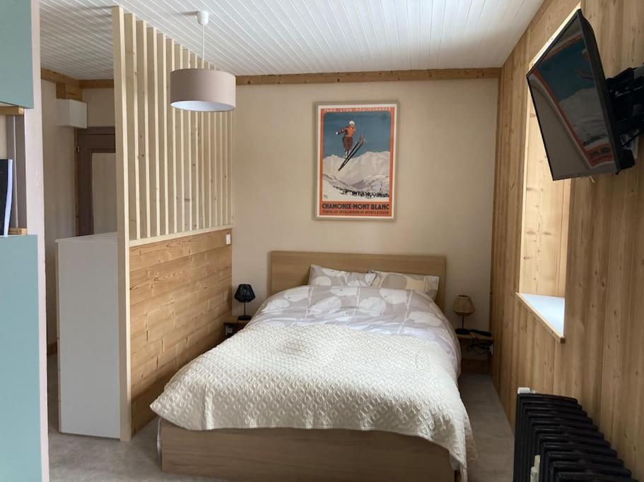 Studio chaleureux au depart des sentiers et pistes de ski appartement pied des pistes
