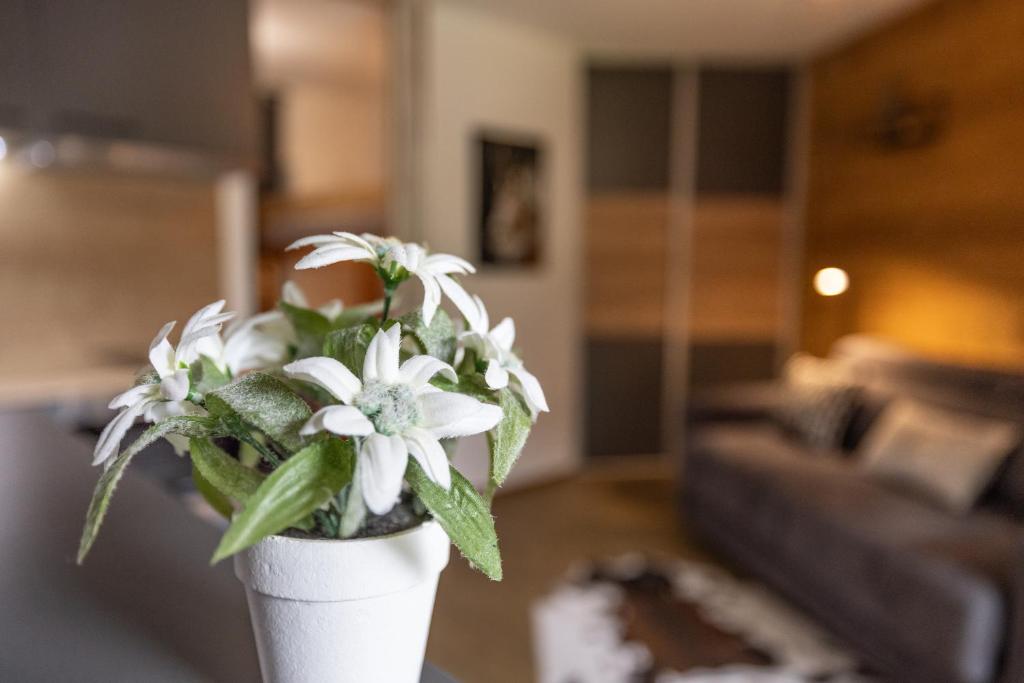 Studio haut de gamme Contamines appartement pied des pistes 8