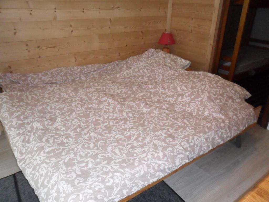 Studio les 2 Aples appartement pied des pistes 12