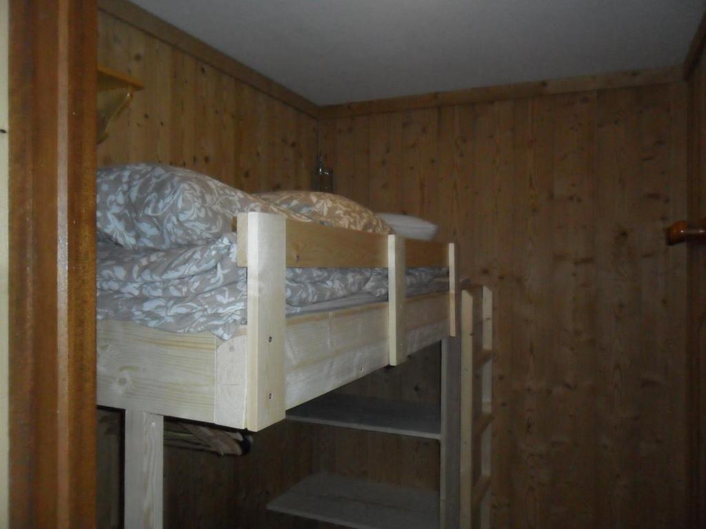 Studio les 2 Aples appartement pied des pistes 5