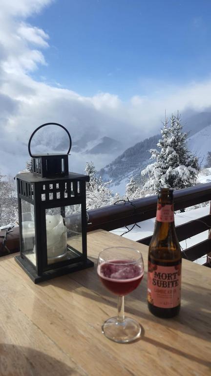 Studio montagnard vue splendide ALPE D HUEZ LES PASSEAUX appartement pied des pistes