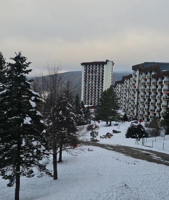 Studio pour 4 personnes pied dans les pistes appartement pied des pistes 5