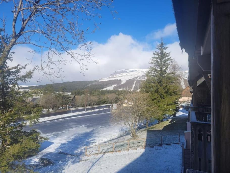 Super Besse 56 pers. Vue sur les monts du cantal appartement pied des pistes 14
