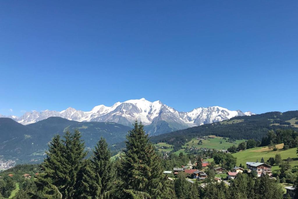 Superb Cosy Apartment With Balcony appartement pied des pistes 10