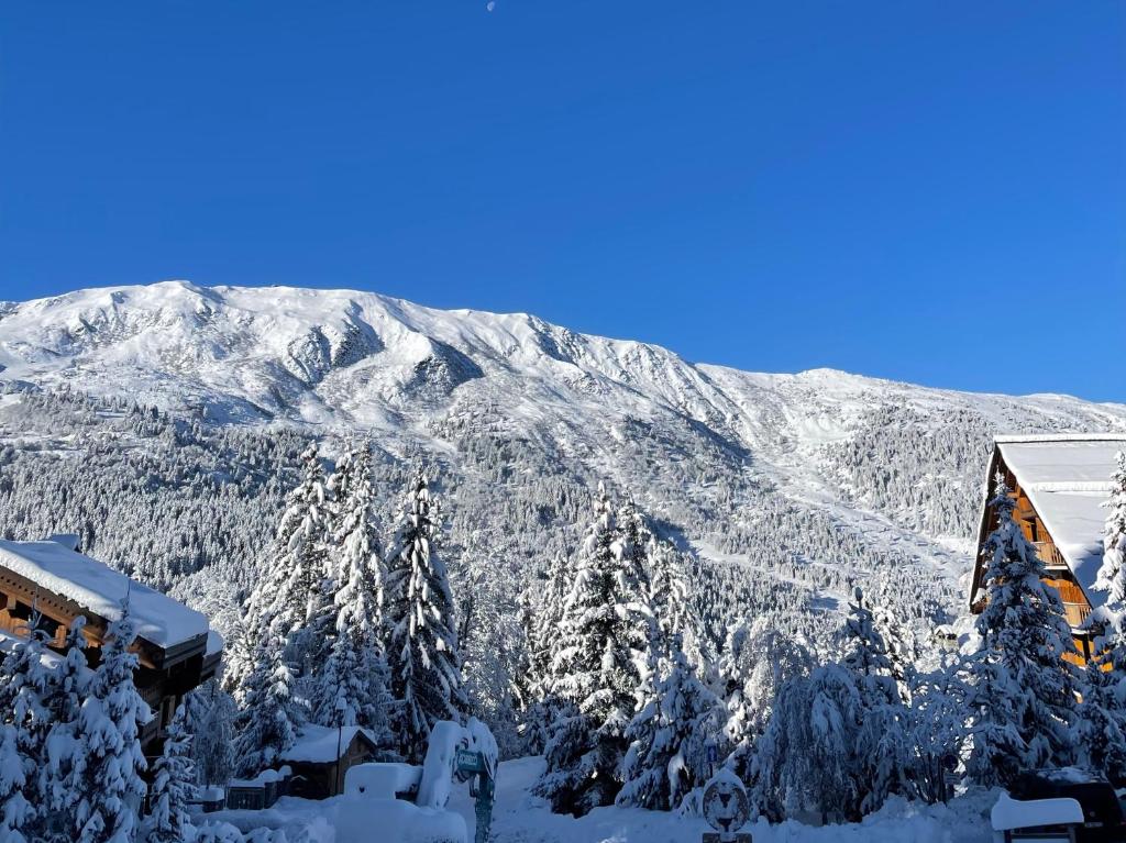 Superbe Appartement au Plateau Rond Point des Pistes Classe 3 Etoiles et Label Meribel appartement pied des pistes 12