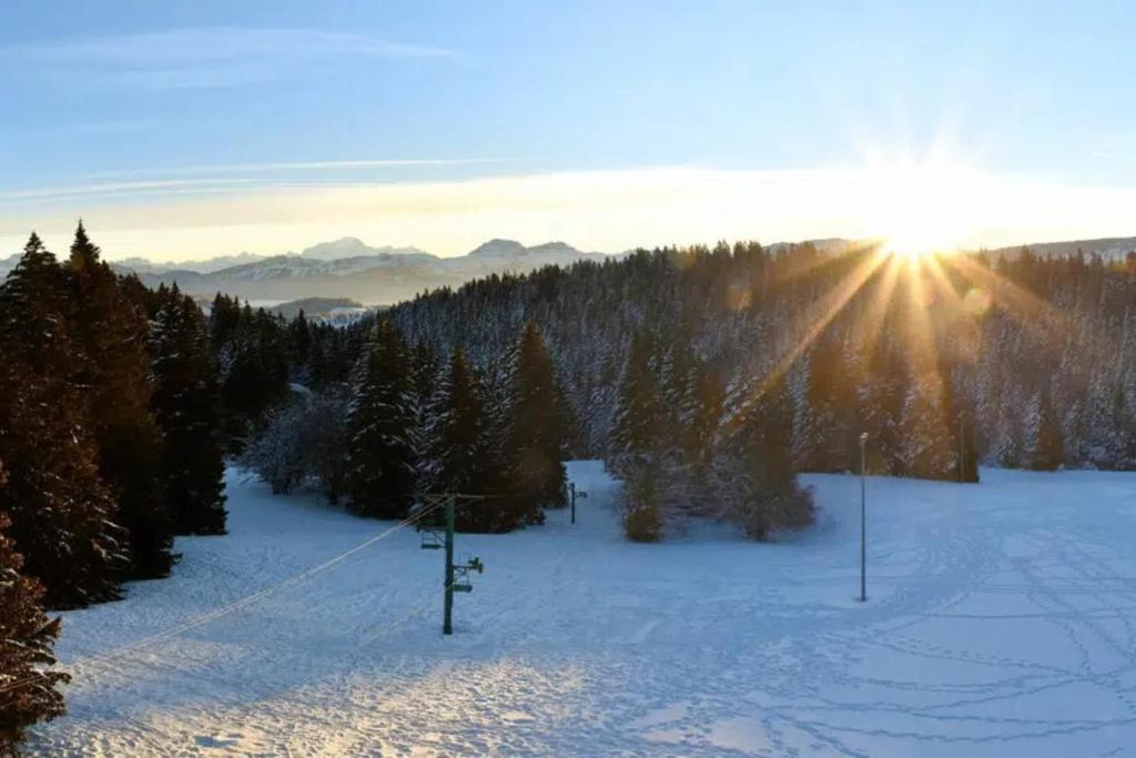 Superbe appartement 4 personnes au pied des pistes gite pied des pistes 6